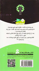 ماجراهای سه پسربچه ی جلد پانزدهم شهر ترسناک